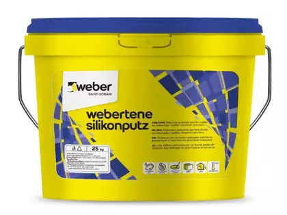 Webertene-Silikonputz
