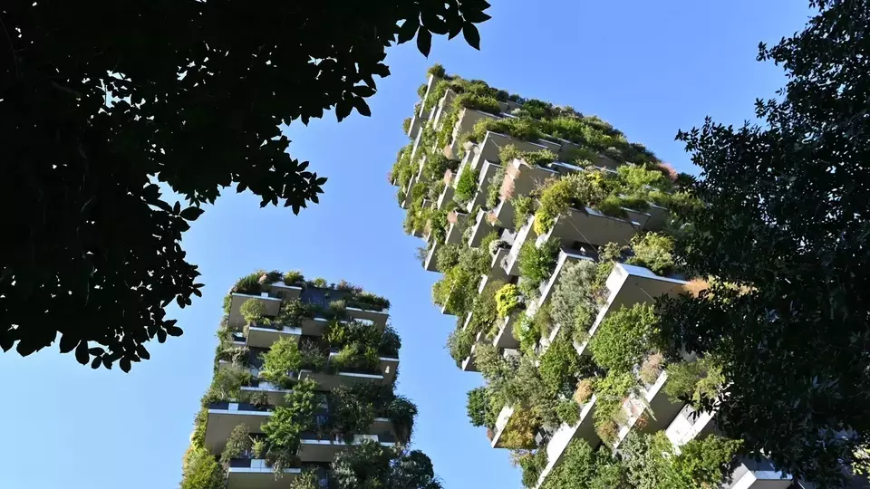 Bosco Verticale 3